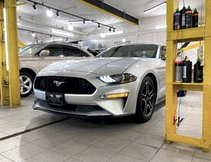 Полировка Ford Mustang Полировка кузова автомобиля Ford Mustang
